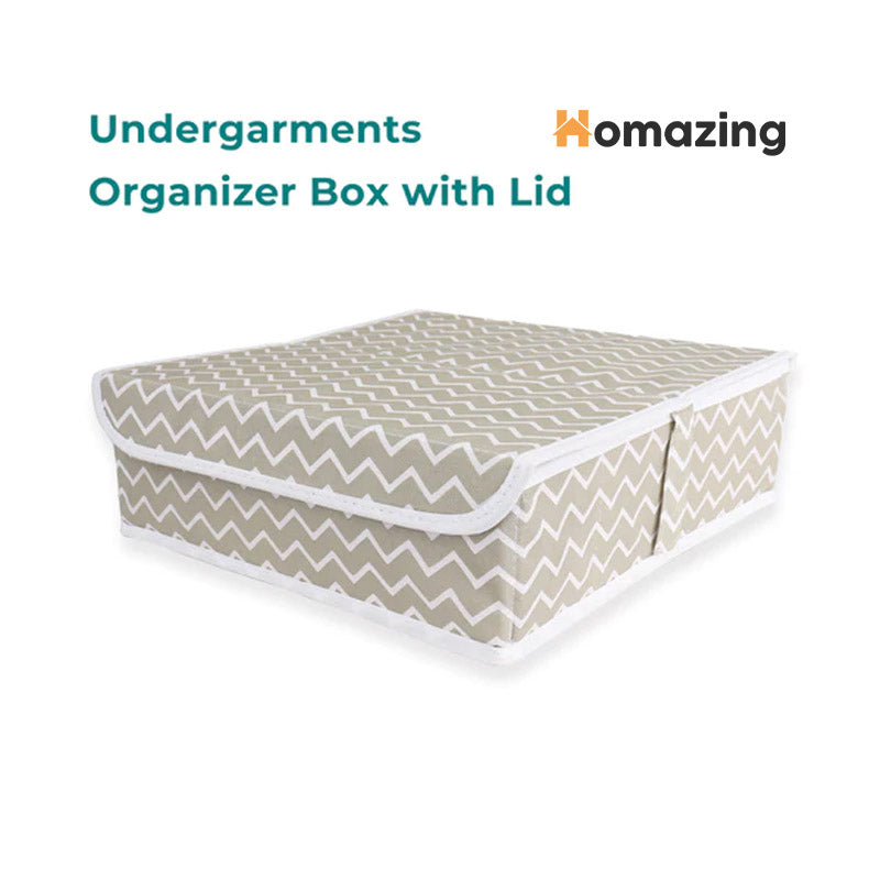 Undergarments White Stripes Organizer Box With Lid