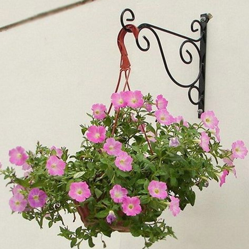 Iron Wall Hanging Stand For Plant Pack Of 3